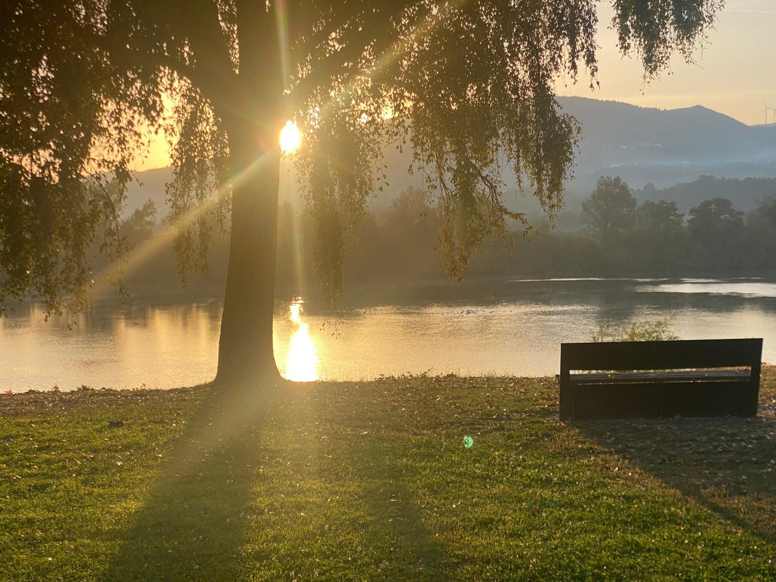 Amanecer sobre un lago brumoso con un árbol, un reflejo brillante y un banco en la orilla cubierta de hierba.
