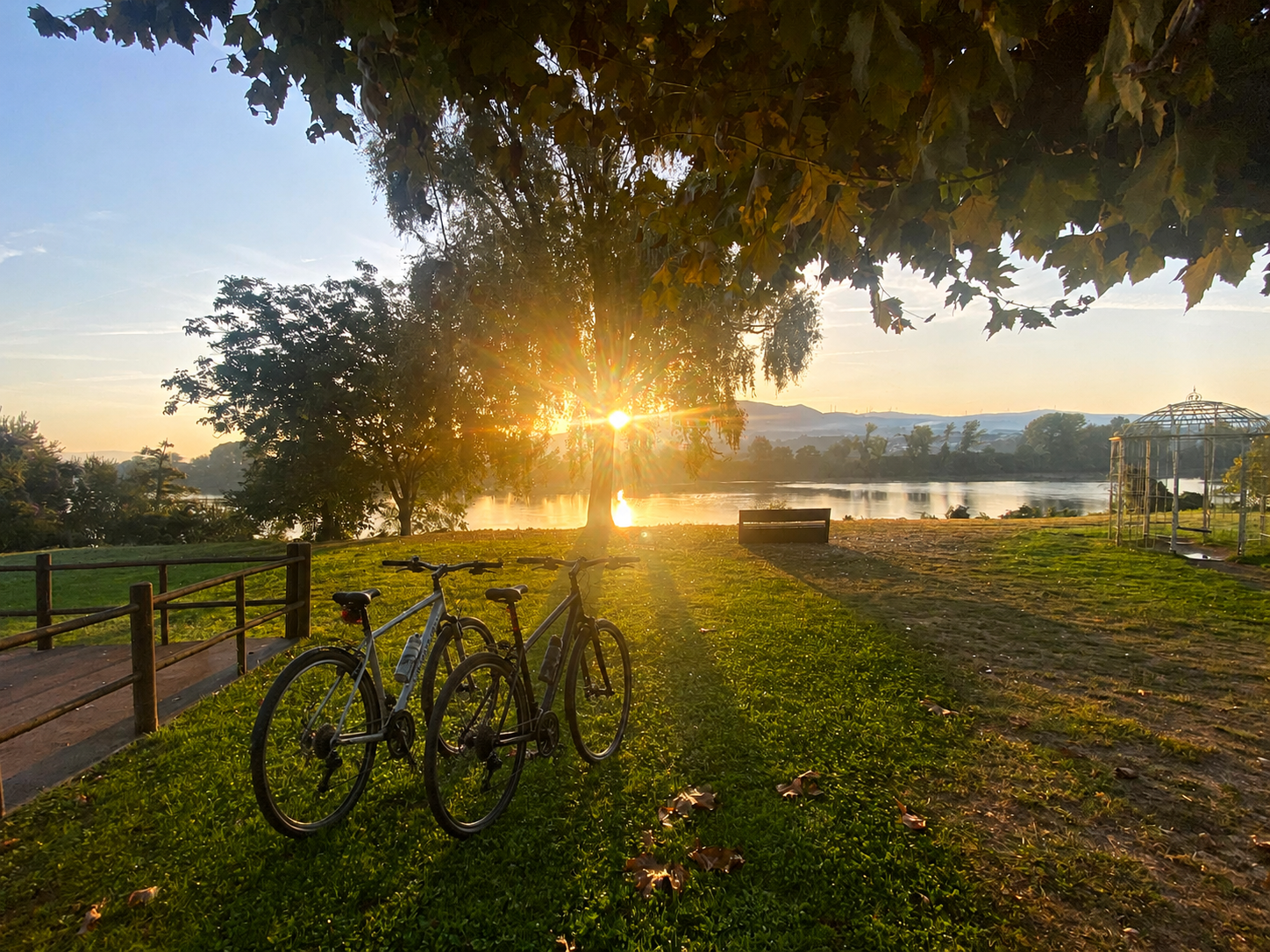 Bicicletas sobre la hierba al amanecer junto a un lago, con árboles y un banco de madera en un parque.