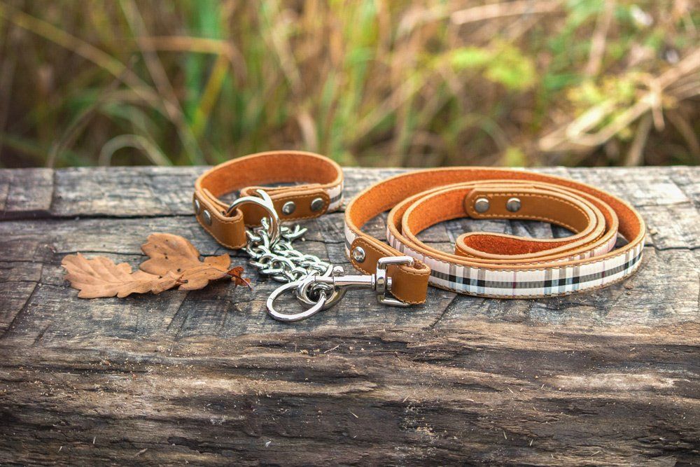 Pet Leash — Lenox, MA — Chez Pet