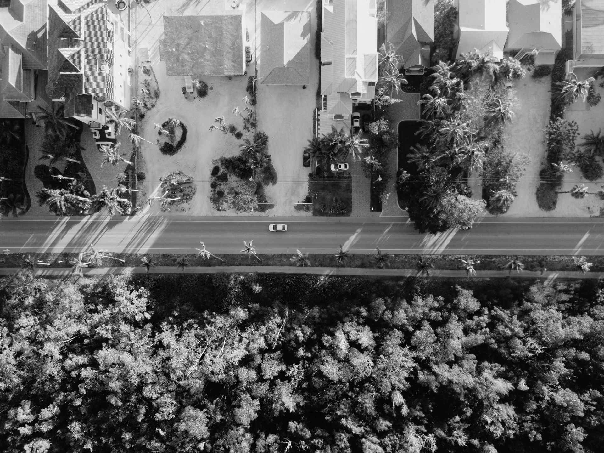 Aerial view of a road with a car, houses, and a tree-filled area in black and white.