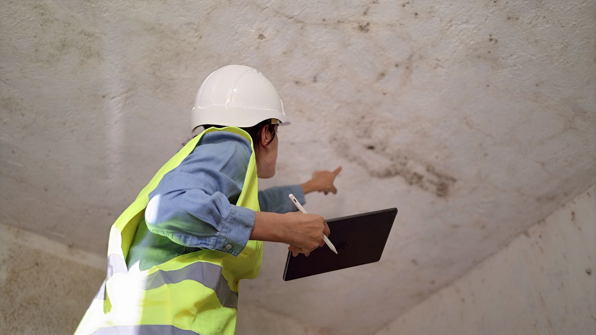 Mold inspector examining a water-stained ceiling and pointing out visible mold growth Mold inspector examining a water-stained ceiling and pointing out visible mold growth