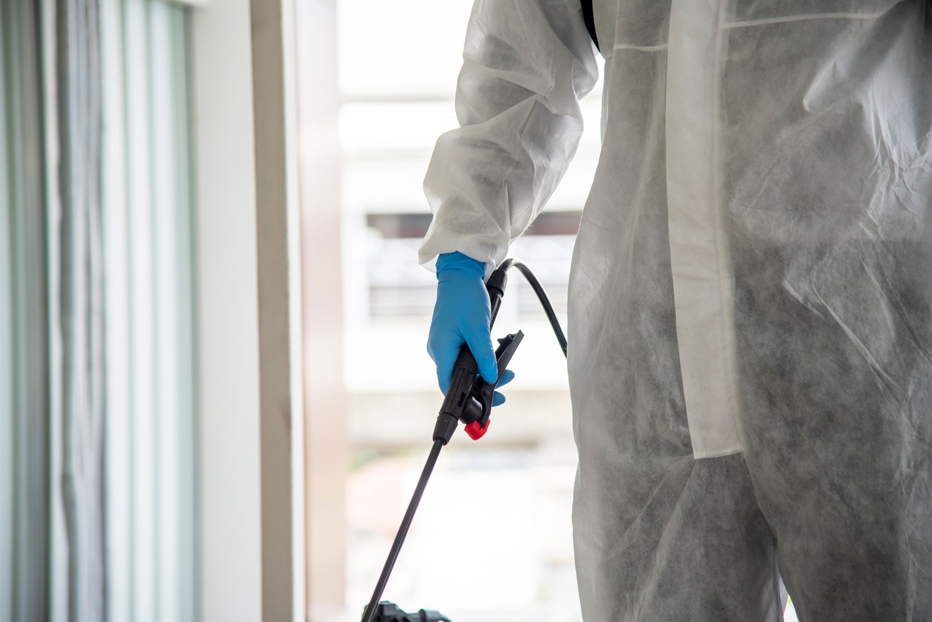 Mold remediation technician treating for mold growth