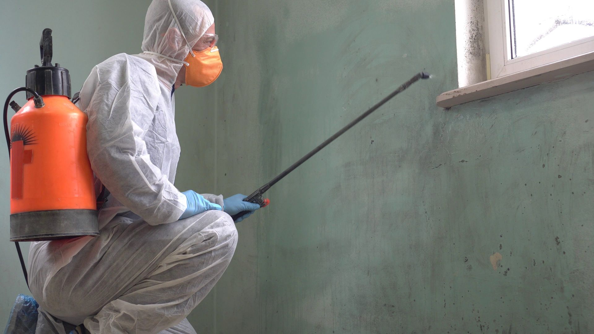 person wearing protective gear, focusing the spray on cracks or mold