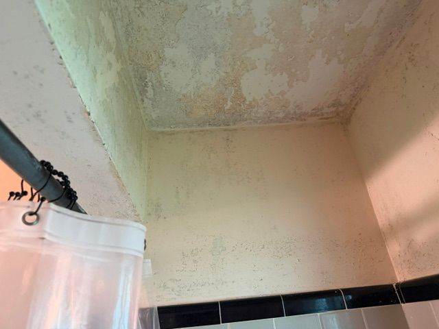 Ceiling corner with water damage and mildew above a shower curtain rod.