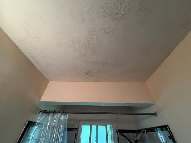 Ceiling corner with water stains above a window and sheer curtains