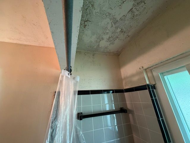 Bathroom shower stall with peeling ceiling paint and a hanging shower curtain