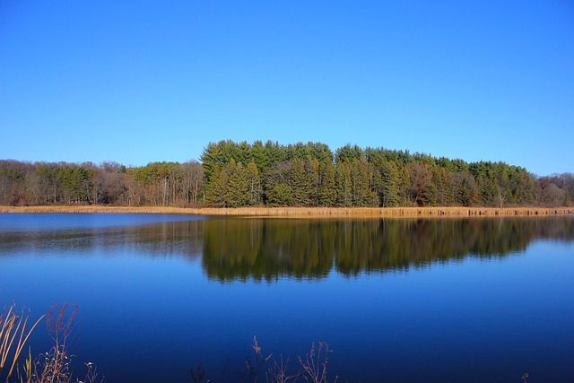 A large body of water surrounded by trees on a sunny day.