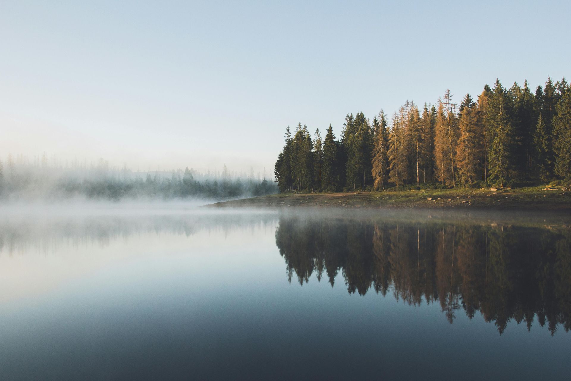 A foggy lake surrounded by trees on a sunny day