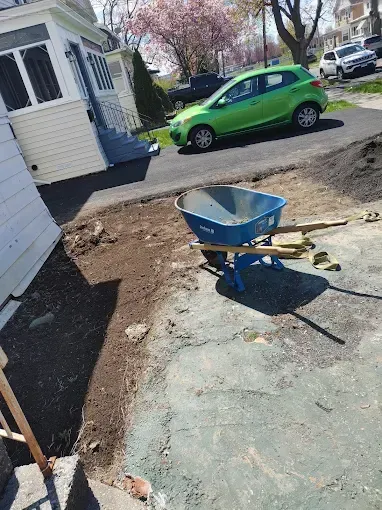Blue wheelbarrow on a driveway beside a house, with a green car parked across the street.