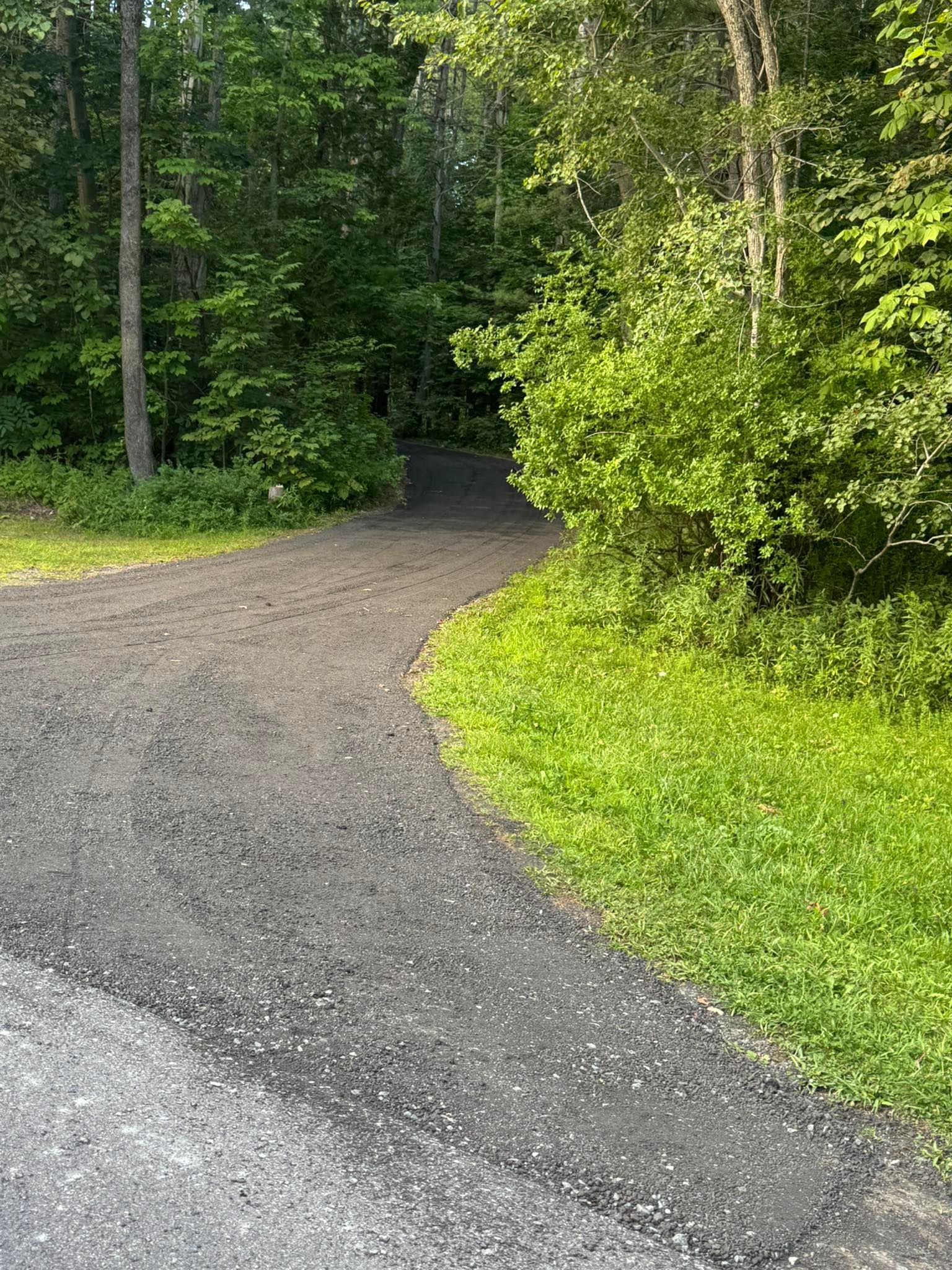 Gravel path curving into a green wooded forest