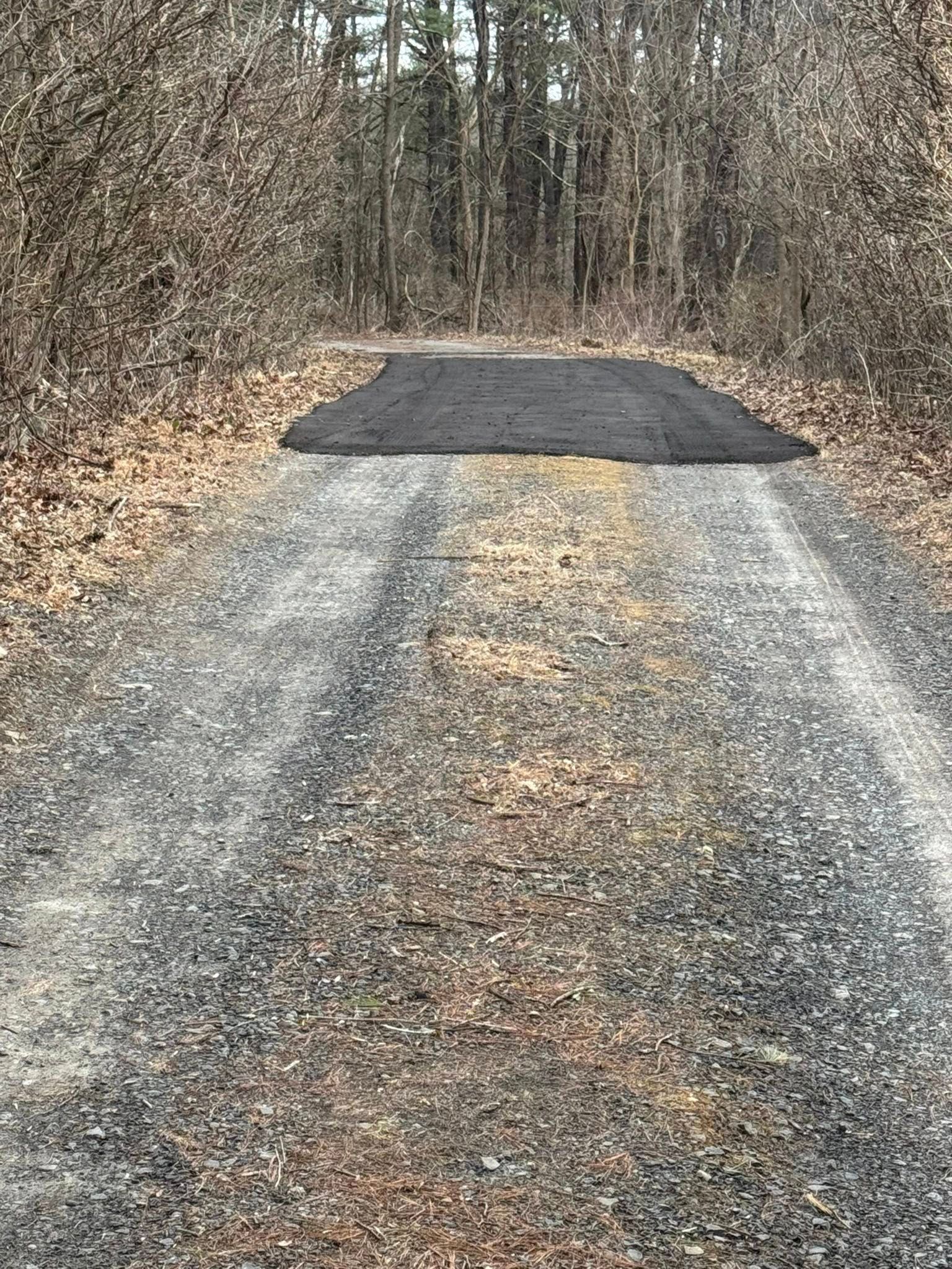 Gravel forest road leading to a dark patch of fresh asphalt ahead
