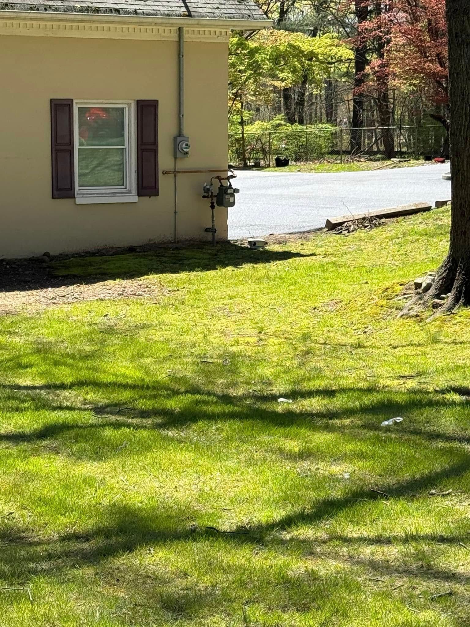 Sunlit grassy yard beside a beige house, with a window, tree, and driveway in the background