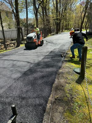 Workers paving a tree-lined road with fresh black asphalt and a road roller.