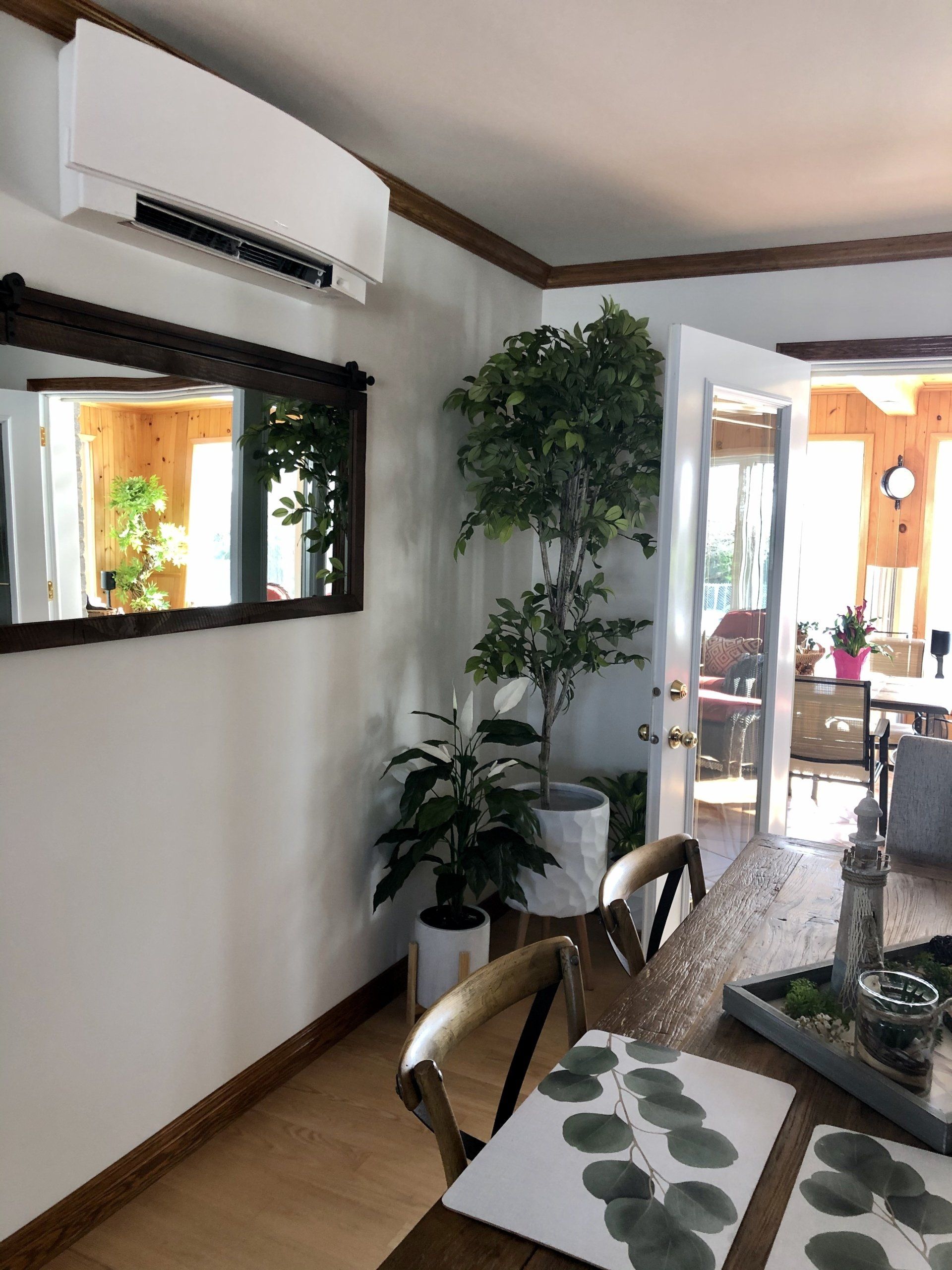 Pièce intérieure avec climatisation, miroir, plantes et porte ouverte sur une autre pièce.