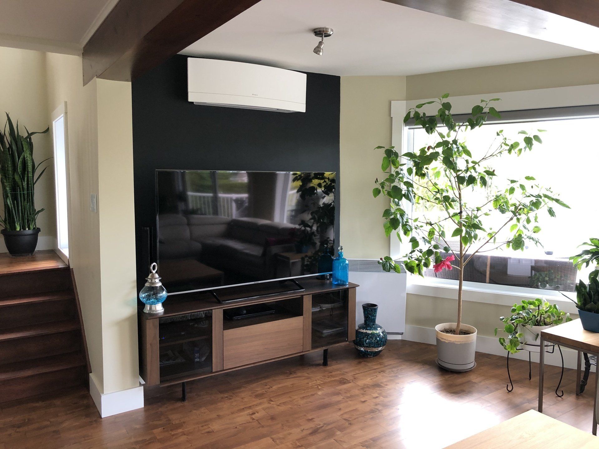 Salon avec télévision sur un meuble en bois, plantes et un mur d'accent foncé.