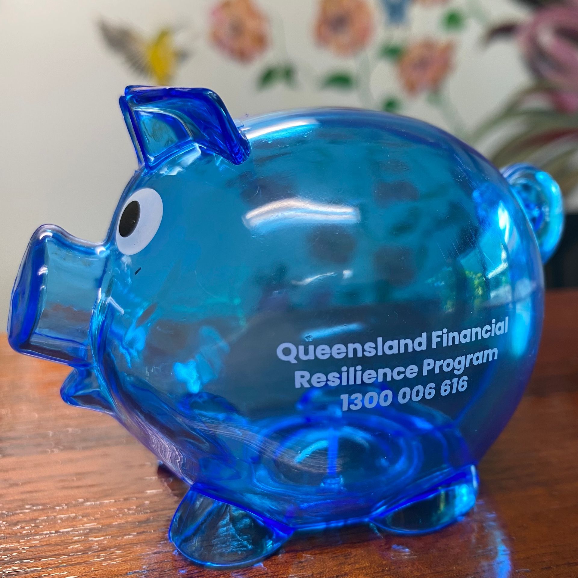 A blue piggy bank with queensland financial resilience program written on it