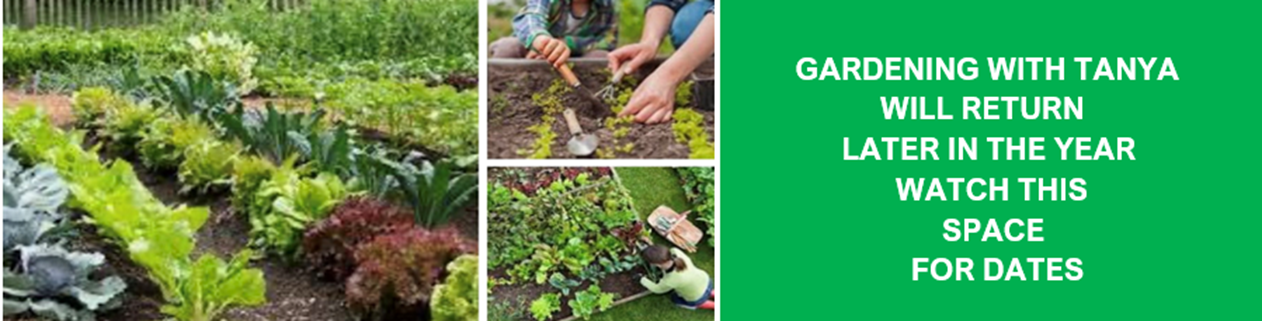 A collage of photos of people gardening with tanya will return later in the year watch this space for dates