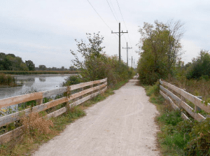 A gravel path with wooden fences on both sides leads toward power lines and a lake on an overcast day.