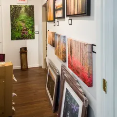 Gallery hallway with framed landscape prints leaning and hanging on white walls, wood floor visible