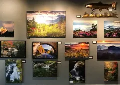 Wall of framed landscape photos and a mounted fish on a gray gallery wall