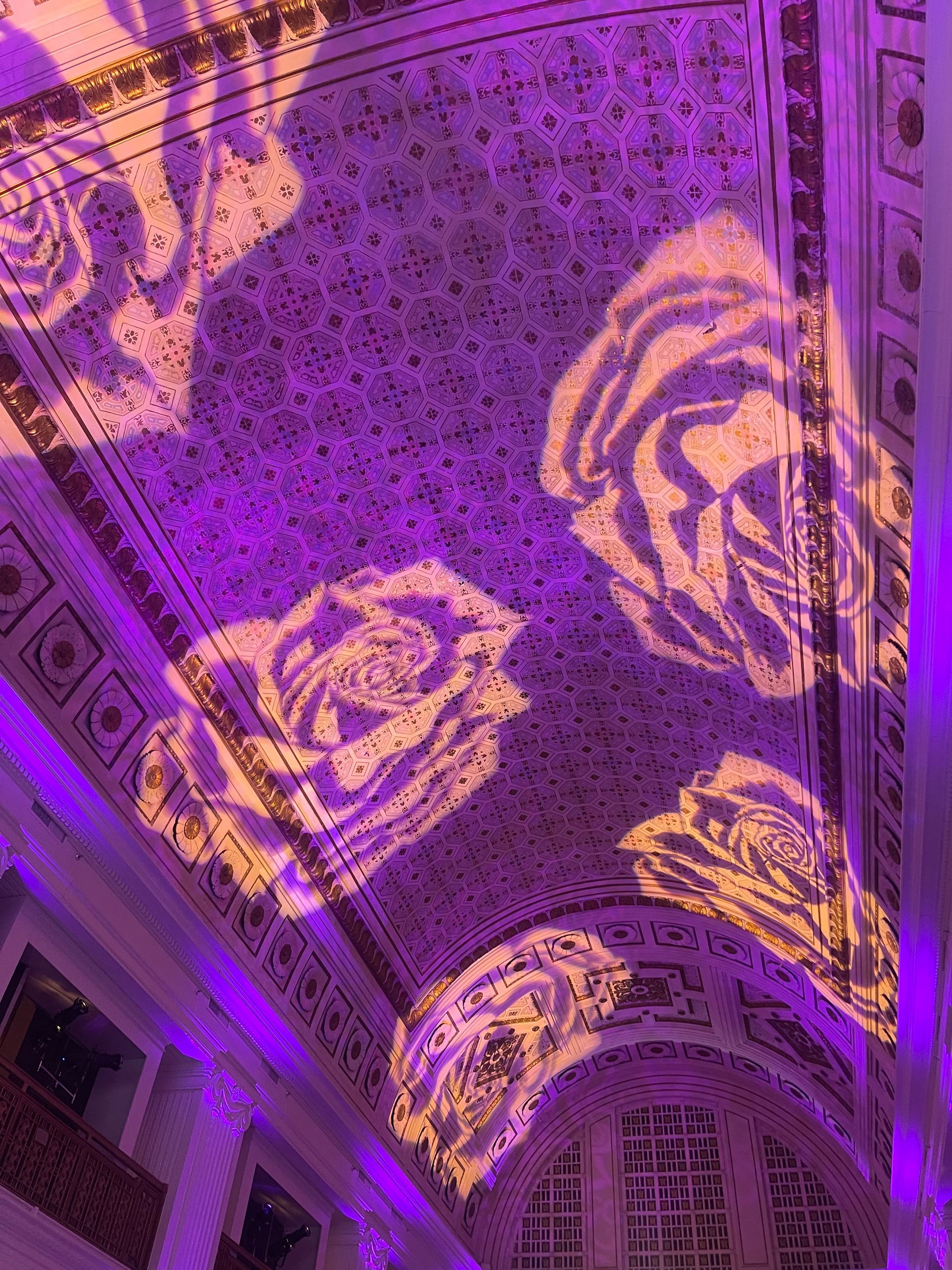 Purple and gold floral projections on a detailed ceiling.