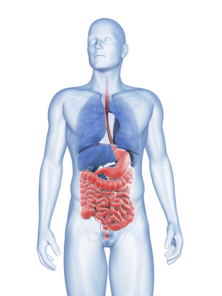 DR. RAFAEL H. MARTÍNEZ MOCTEZUMA-Gastroenterología y cirugía en general