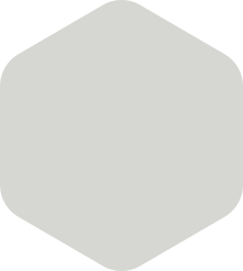 Light gray hexagon shape with rounded corners.