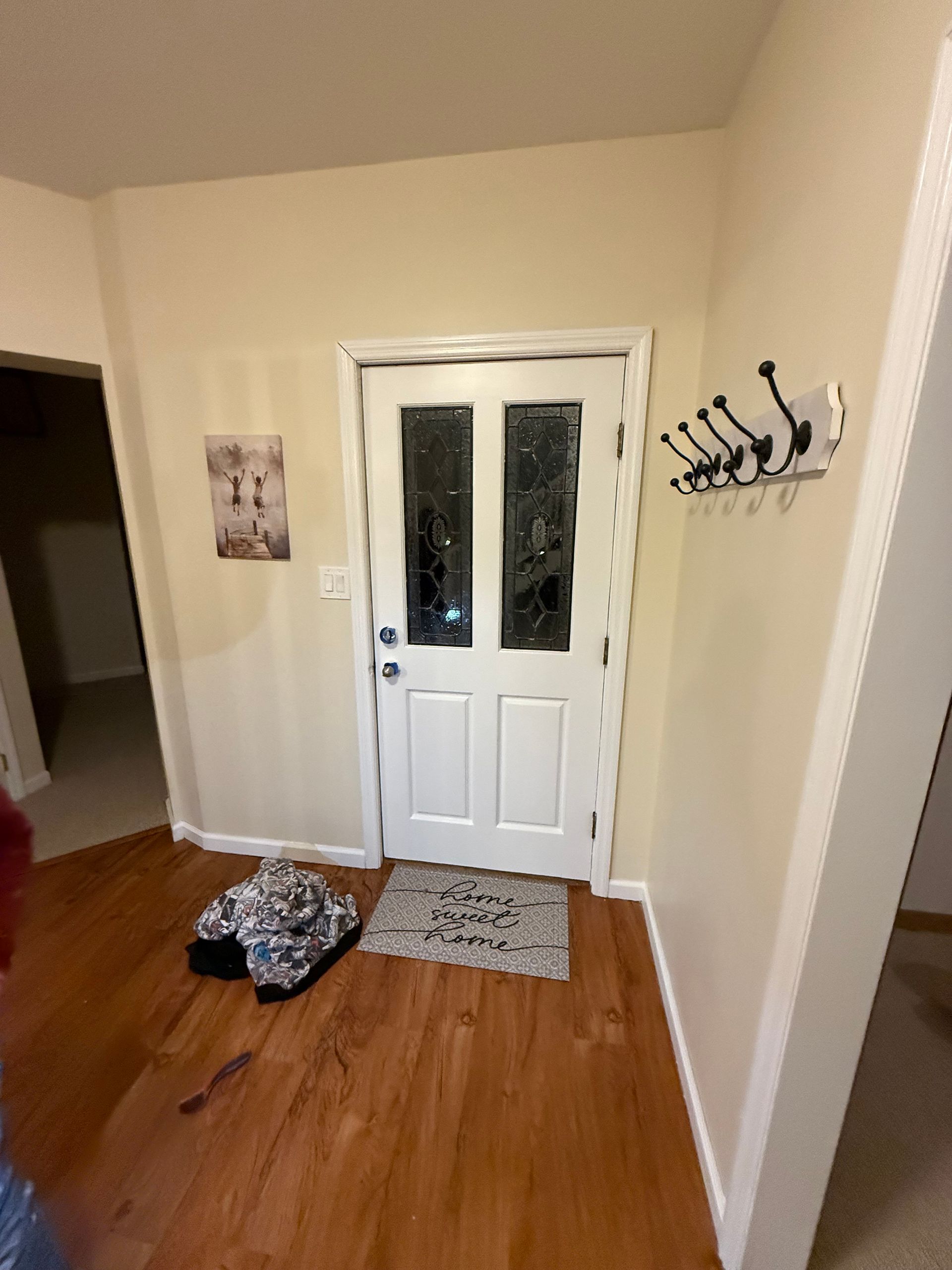 after door painting completed by Whaleys Painting and More in Dandridge,TN