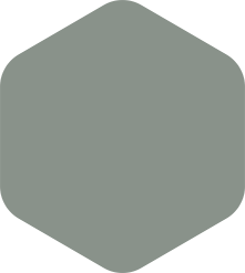 A muted gray, rounded hexagon shape.