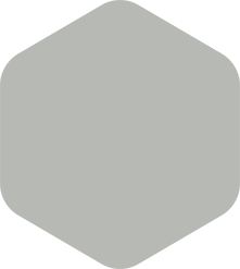 Light gray rounded hexagon.