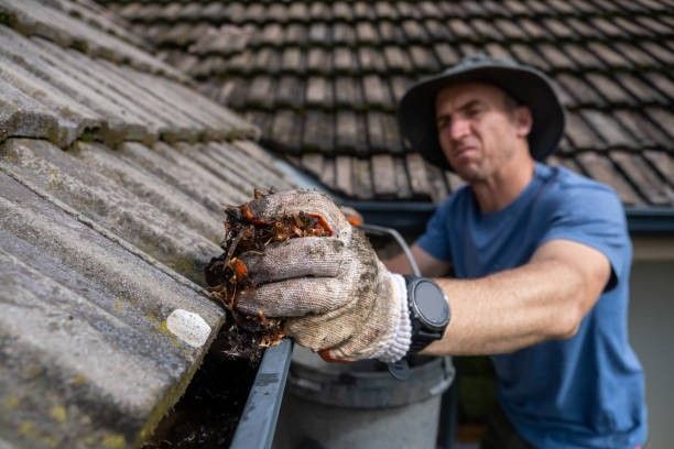 House gutter debris removal service