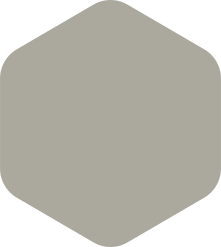 Light grey rounded hexagon.