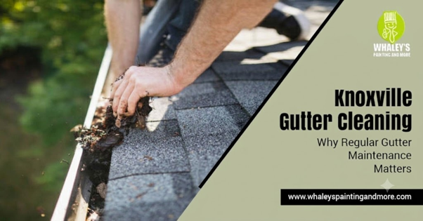 Knoxville gutter cleaning