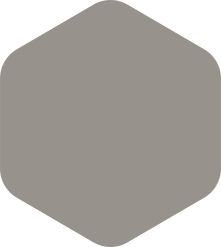 Gray, rounded-corner hexagon shape.