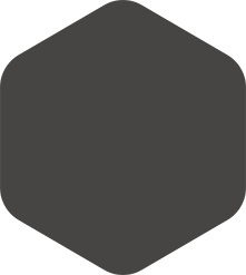 Dark gray rounded hexagon shape.