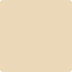 Solid rectangle, light beige color.