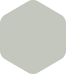Rounded gray-green hexagon shape.