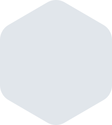 Light-blue rounded hexagon shape.