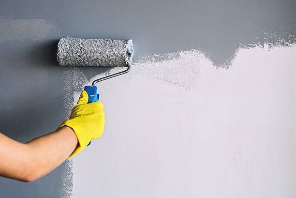 Professional painters in Kodak TN