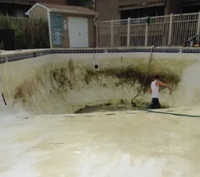A man is cleaning a dirty swimming pool with a hose.