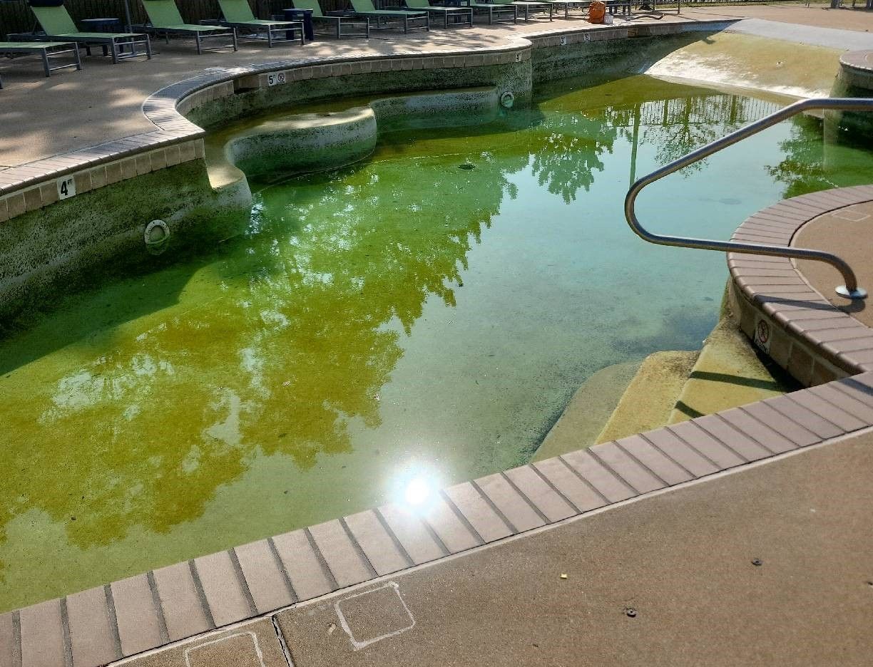 A pool with a low water level and green water