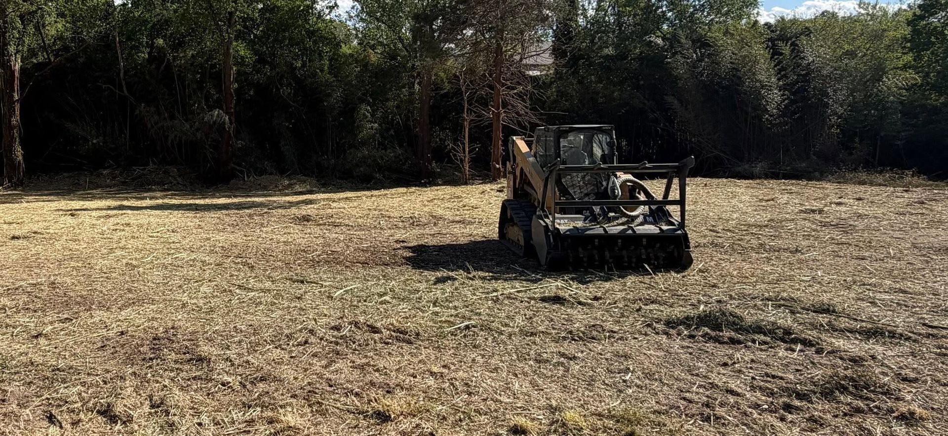 Off-road buggy driving through a dry, open field with trees in the background