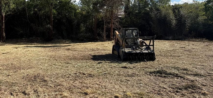 Off-road buggy in a dry, open field with trees in the background