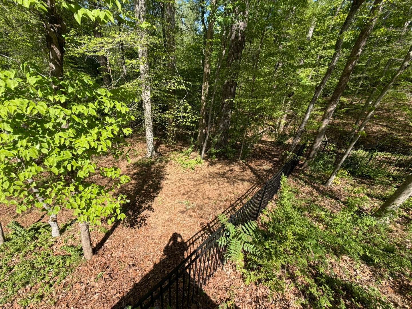 Wooded trail through green forest with sunlit leaves and a railing along the path