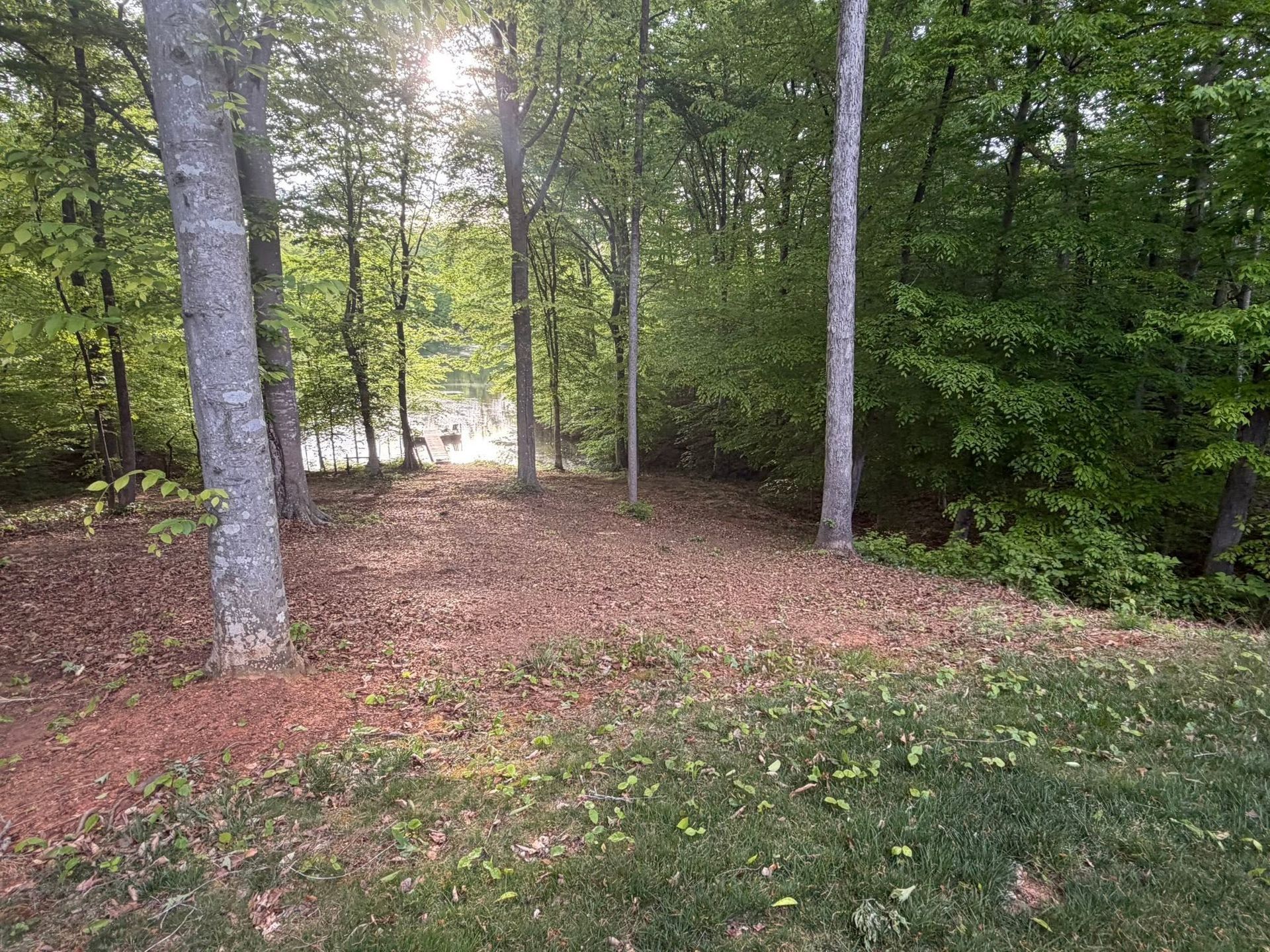 Wooded path with tall trees, leaf-covered ground, and sunlight filtering through the forest