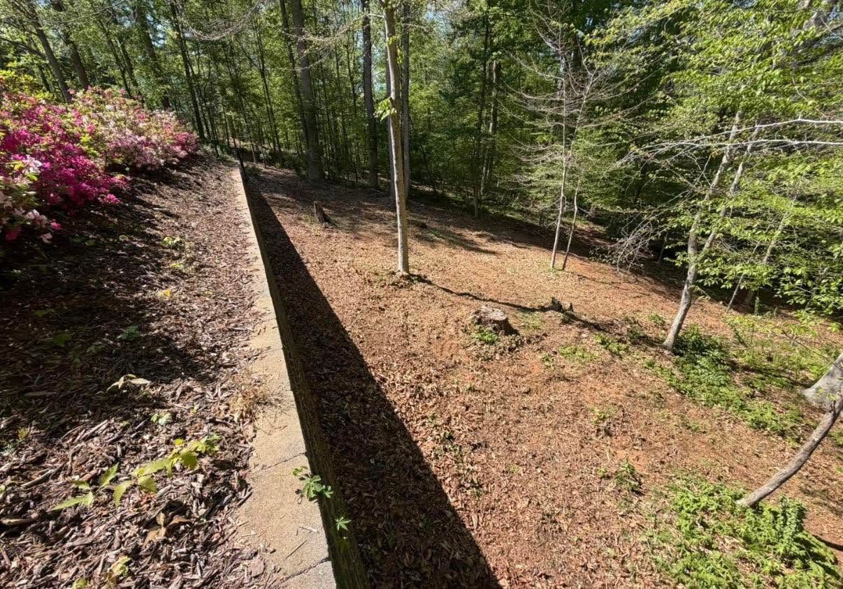 Wooded backyard with a concrete retaining wall, mulch ground cover, and pink flowering shrubs on the left