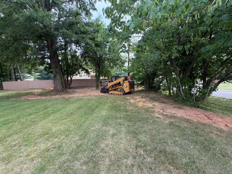 Yellow skid-steer clearing dirt along a tree-lined yard beside a road