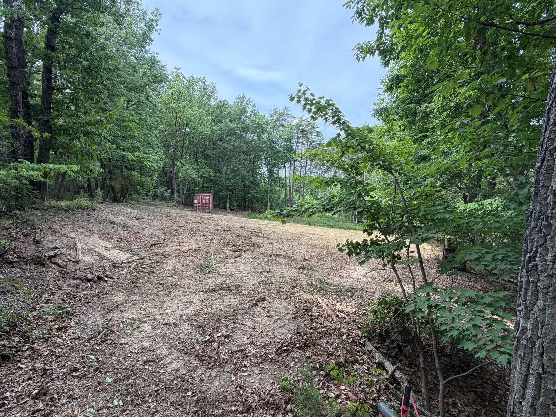 Cleared dirt path in a wooded area with trees and a small red sign in the distance