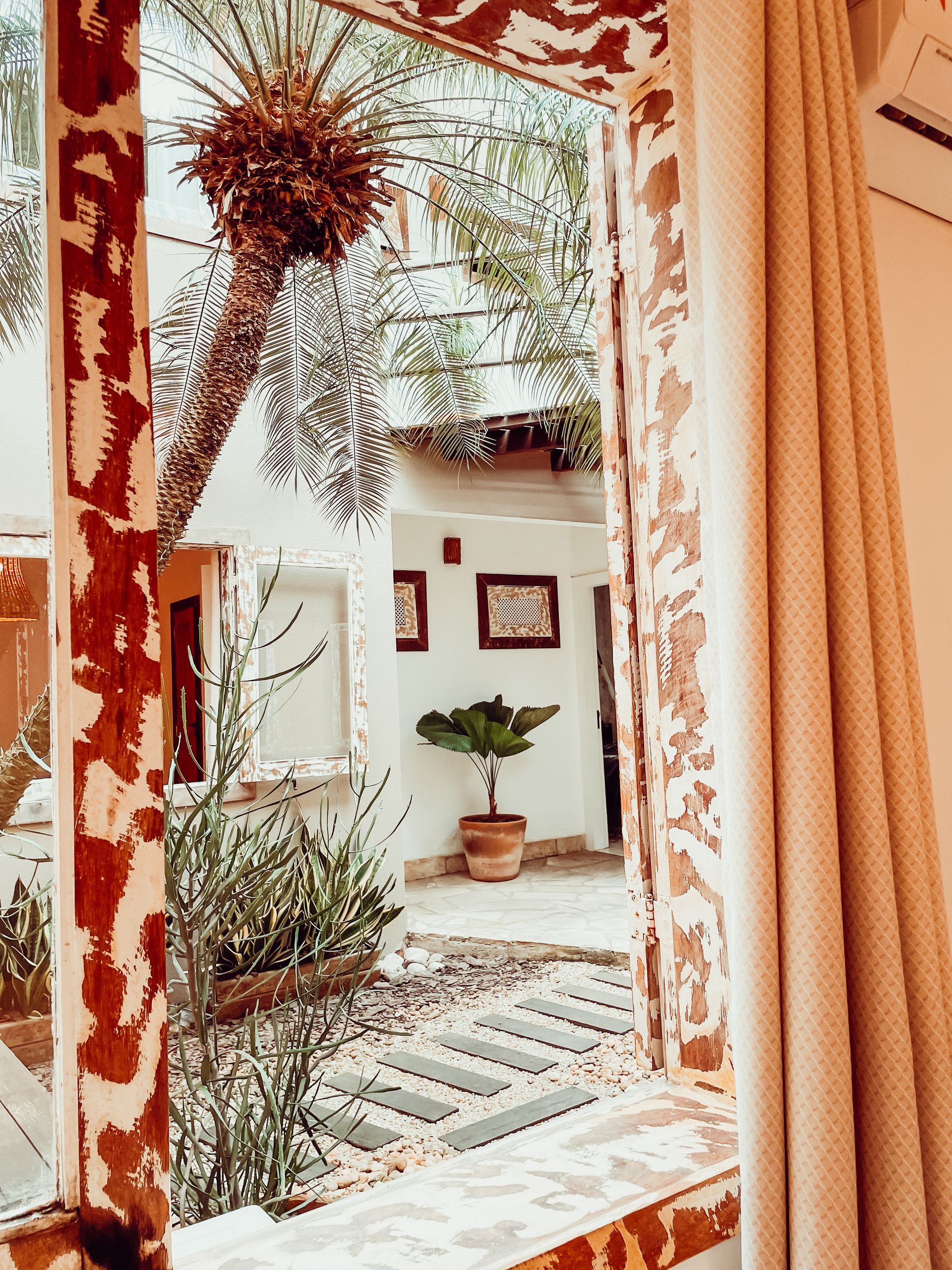 View through window: courtyard with stepping stones, potted plant, white walls, and patterned curtain.