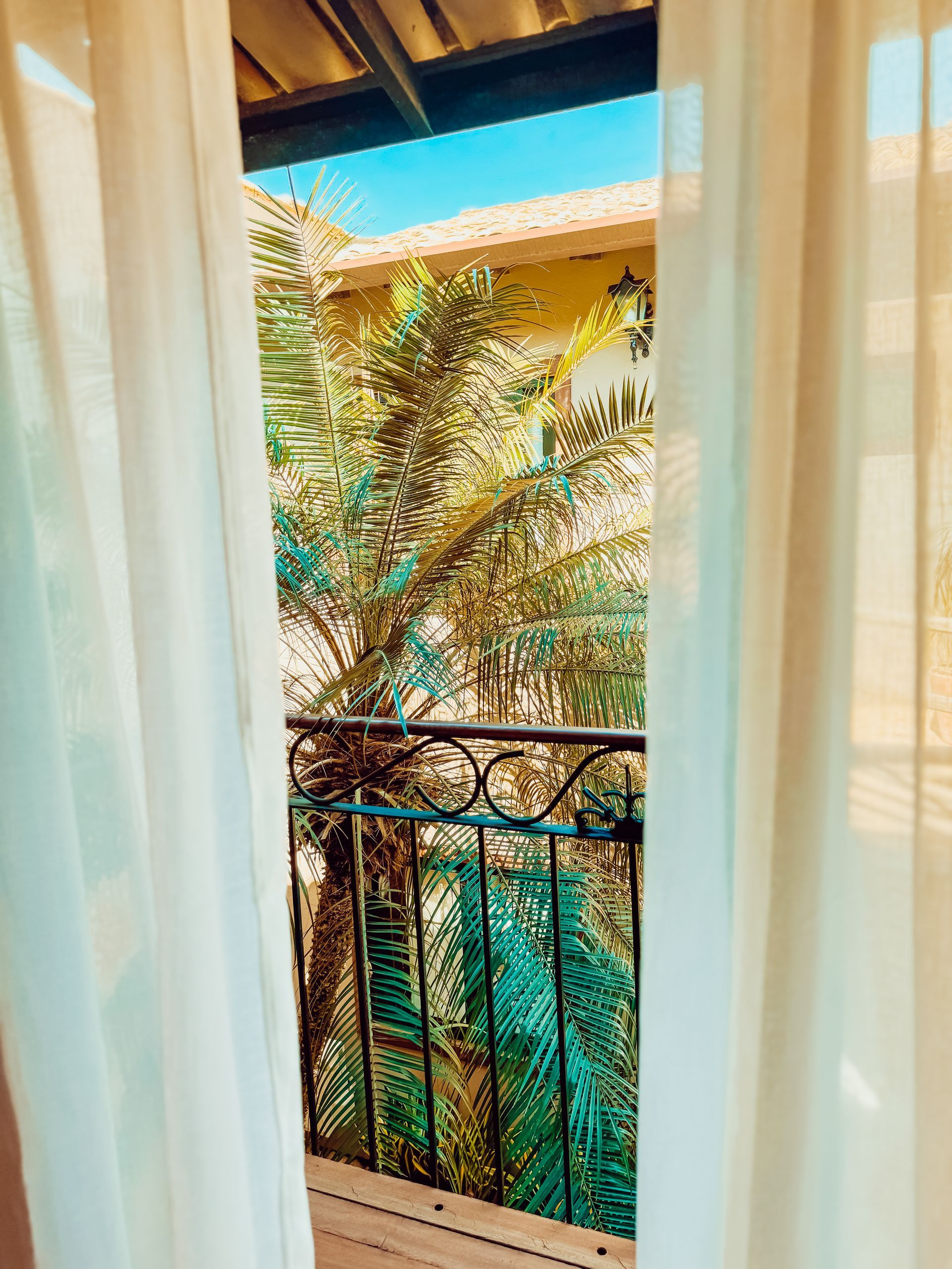 Balcony with wrought iron railing, viewed through sheer white curtains, overlooking trees and blue sky.